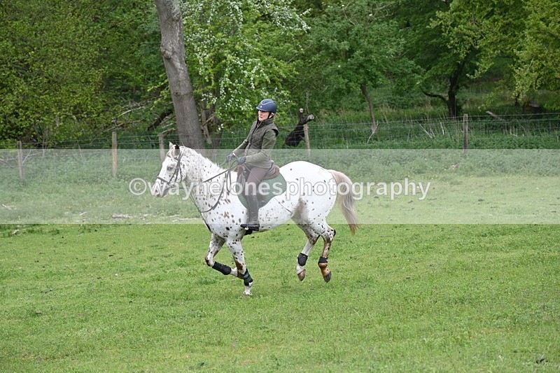 WJ6_2869 - A Camera