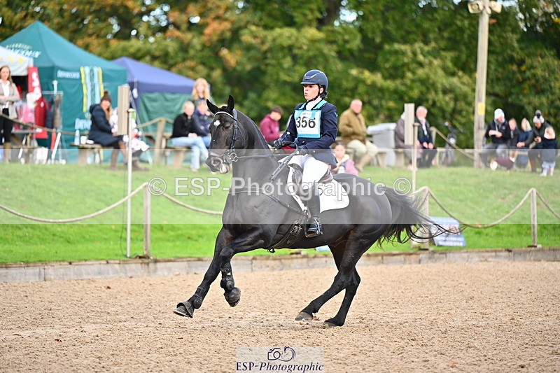 251026A-102911-23617 - D-356-Eloise.Starr