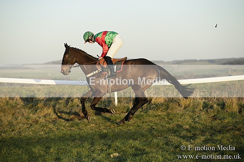 PtP 070118 -751 - Larkhill Racing Club Point to Point Larkhill 07/01/2018