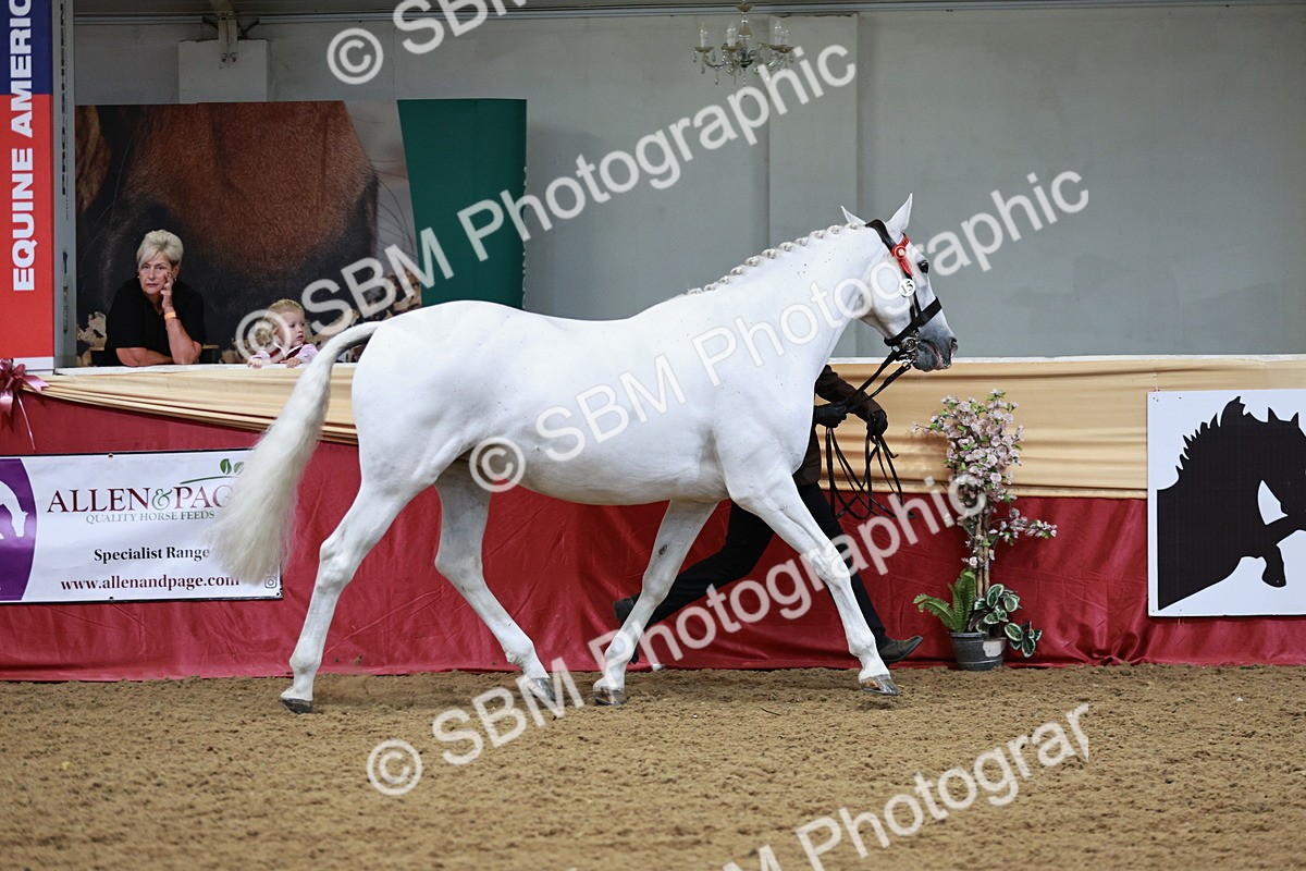 SBM_01160 - Class 3A - Area IH Pre-Vet