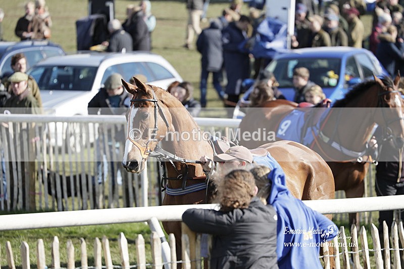 PtP 100423 970 - Old Berkshire Point-to-Point Lockinge 10/04/23