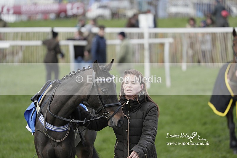PtP PR 100423 6 - Pony Racing Lockinge 100423