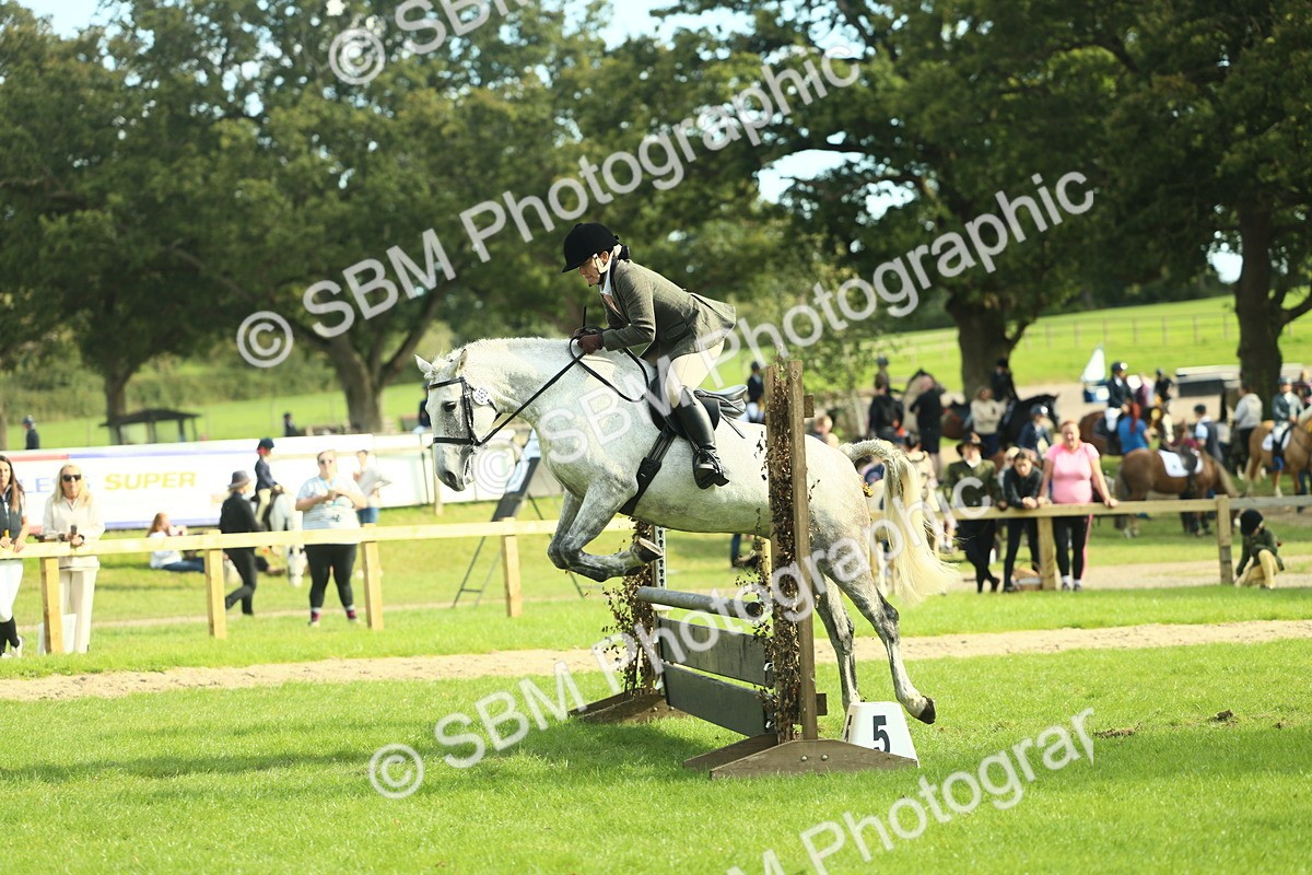 SBM_50640 - S33 - Working Hunter & Working Show Horse