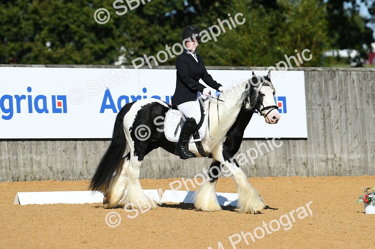 SBM_18072 - D4 - Small Tour Championship - Intro B