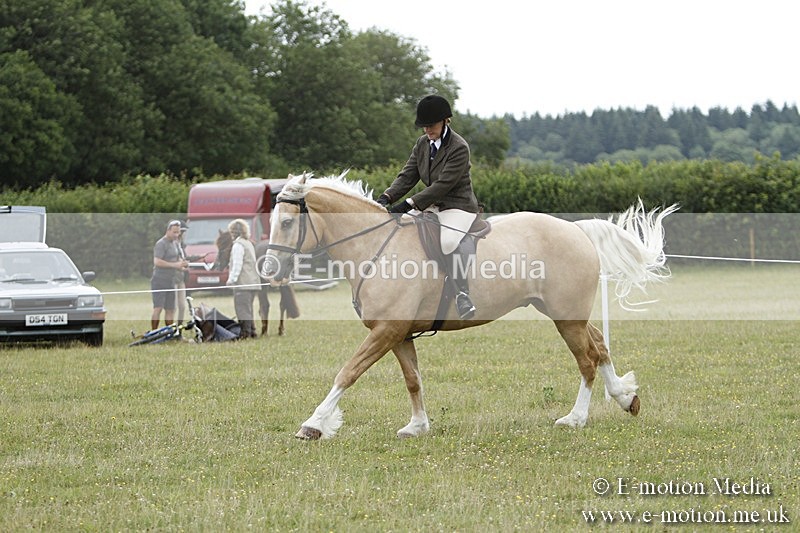 BVR160717-425 - Ring 3 BVRC Show 16/07/17