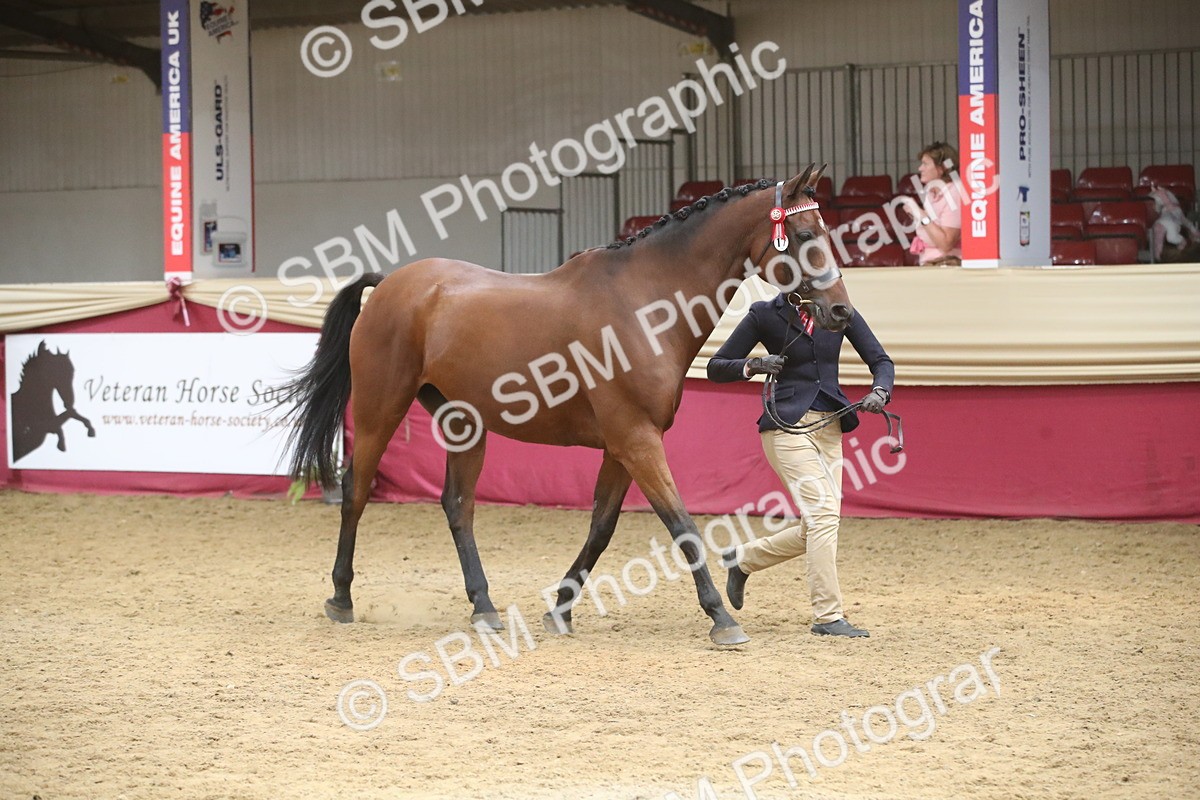 SBM_05539 - Class 9R - Regional IH Pre-Vet