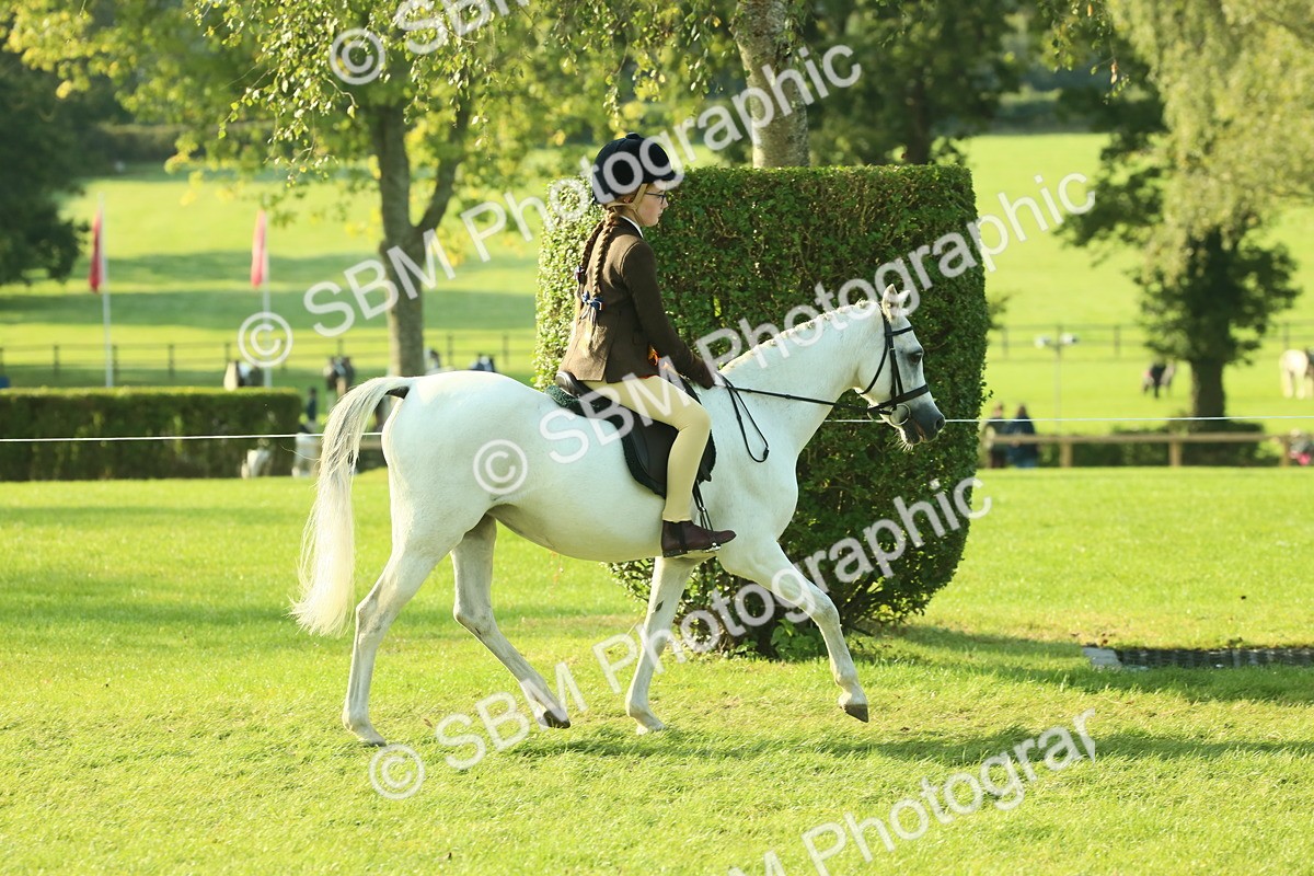 SBM_59287 - S38 - Starters Ridden Showing