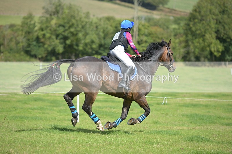 RAY_8733 - Class 2: Trekenning Open: Wall