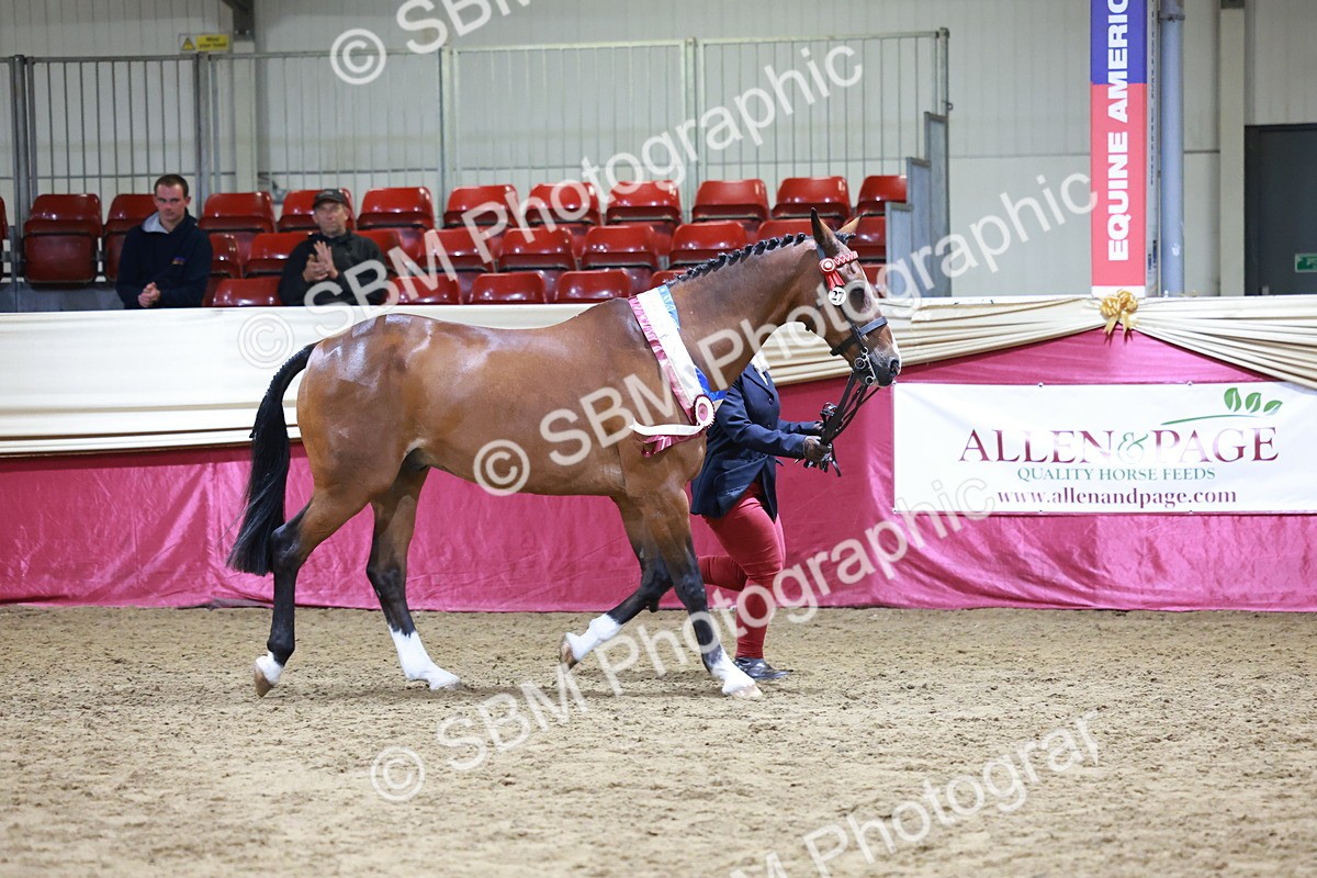 SBM_20153 - Class C - Novalty Champ