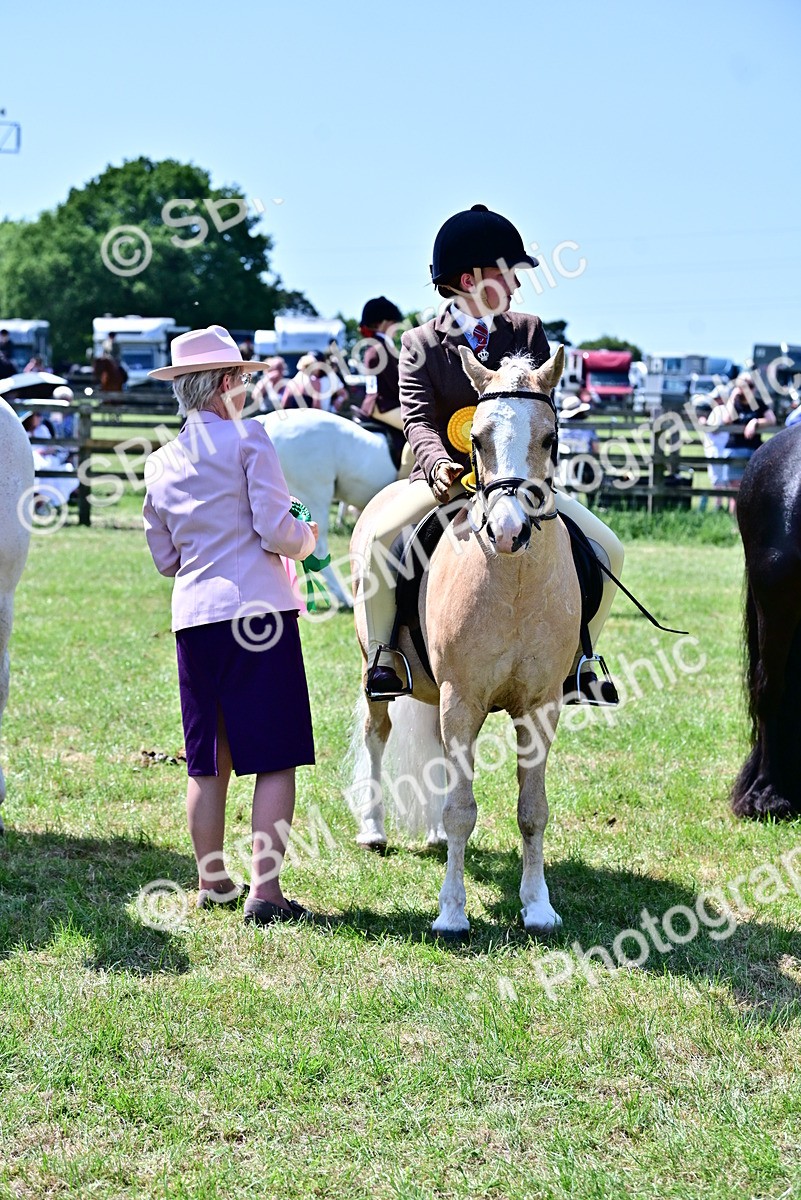 SBM_15435 - Class 95-97 - BSPS LHS Performance Ponies