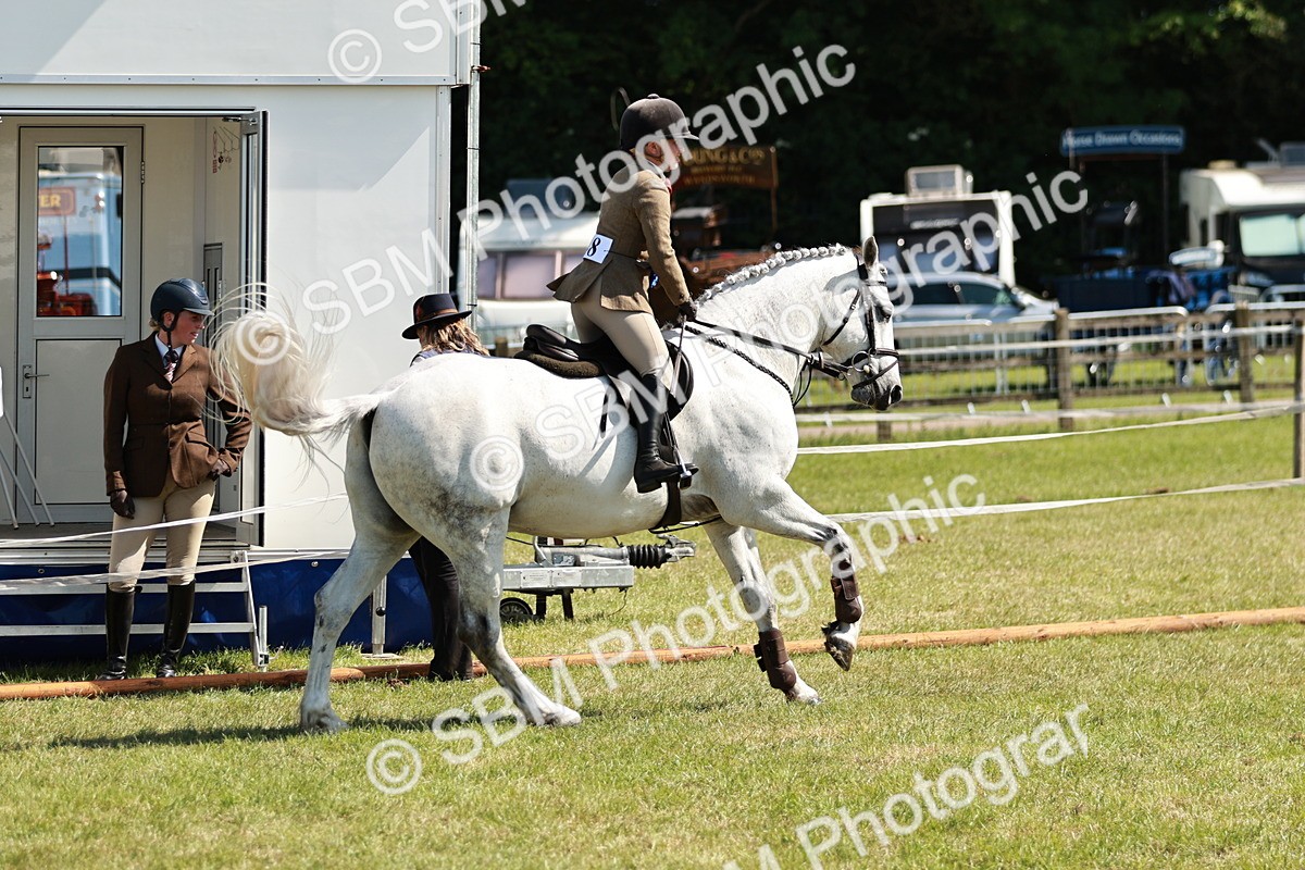 SBM_18520 - Class 112-113 - BSPS LIHS Working Sports Pony