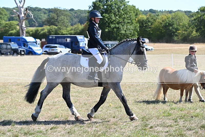 WJ6_8295 - Class 37a Best Loan Pony Ridden