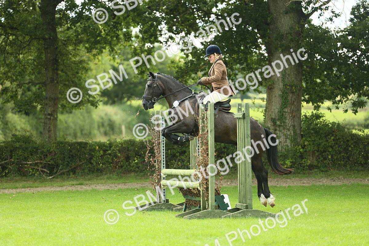 SBM_44770 - S31 - Working Hunter Pony