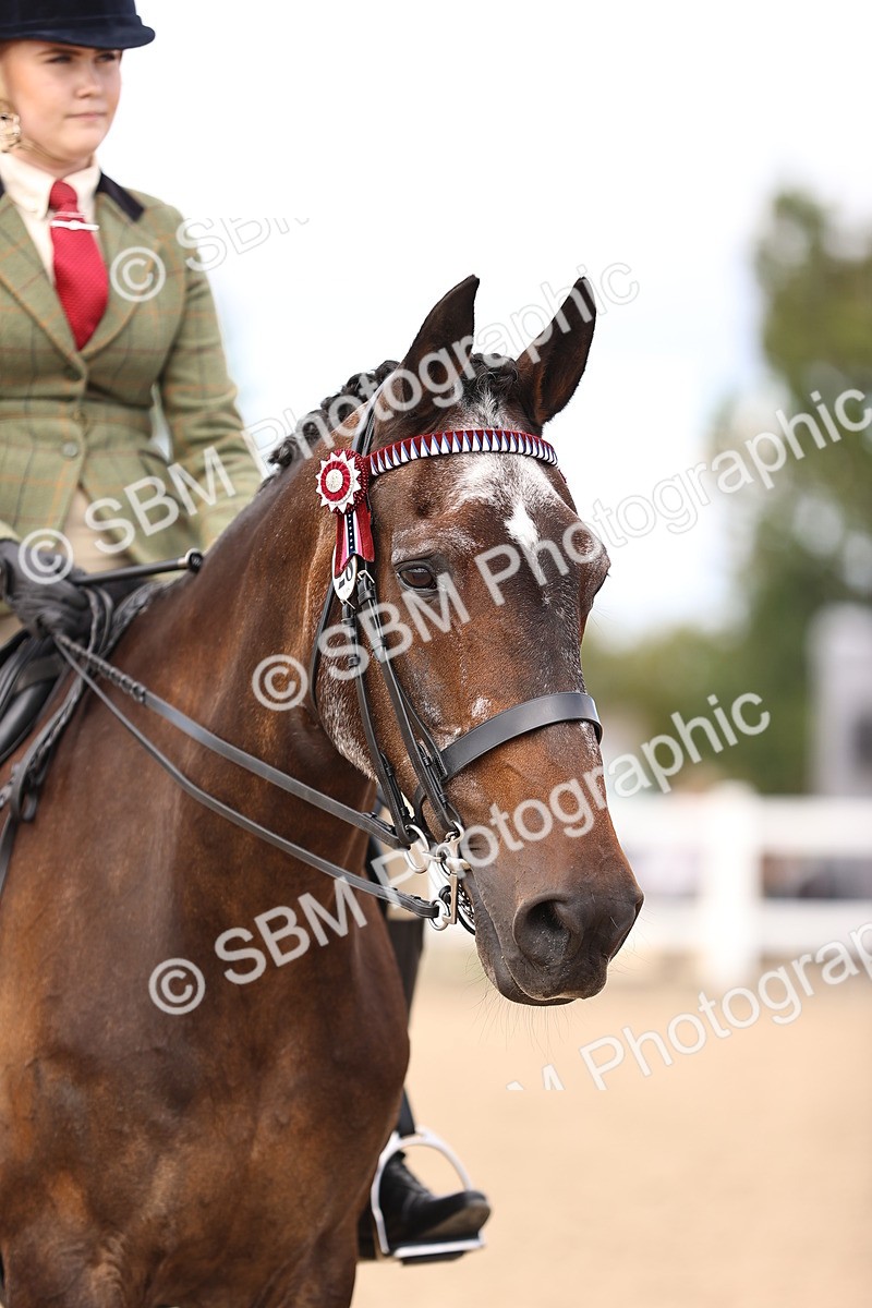 SBM_12952 - Class 410 - Grassroots Ridden - Horse