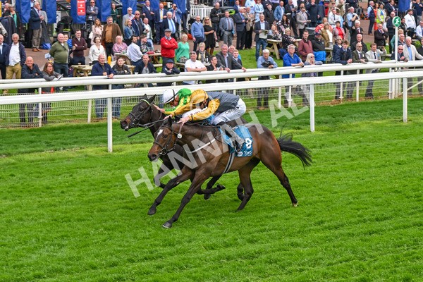 150524-Race 6-Shadow Army-4586 - Race 6 4.45pm British Stallion Studs EBF Novice Stakes
