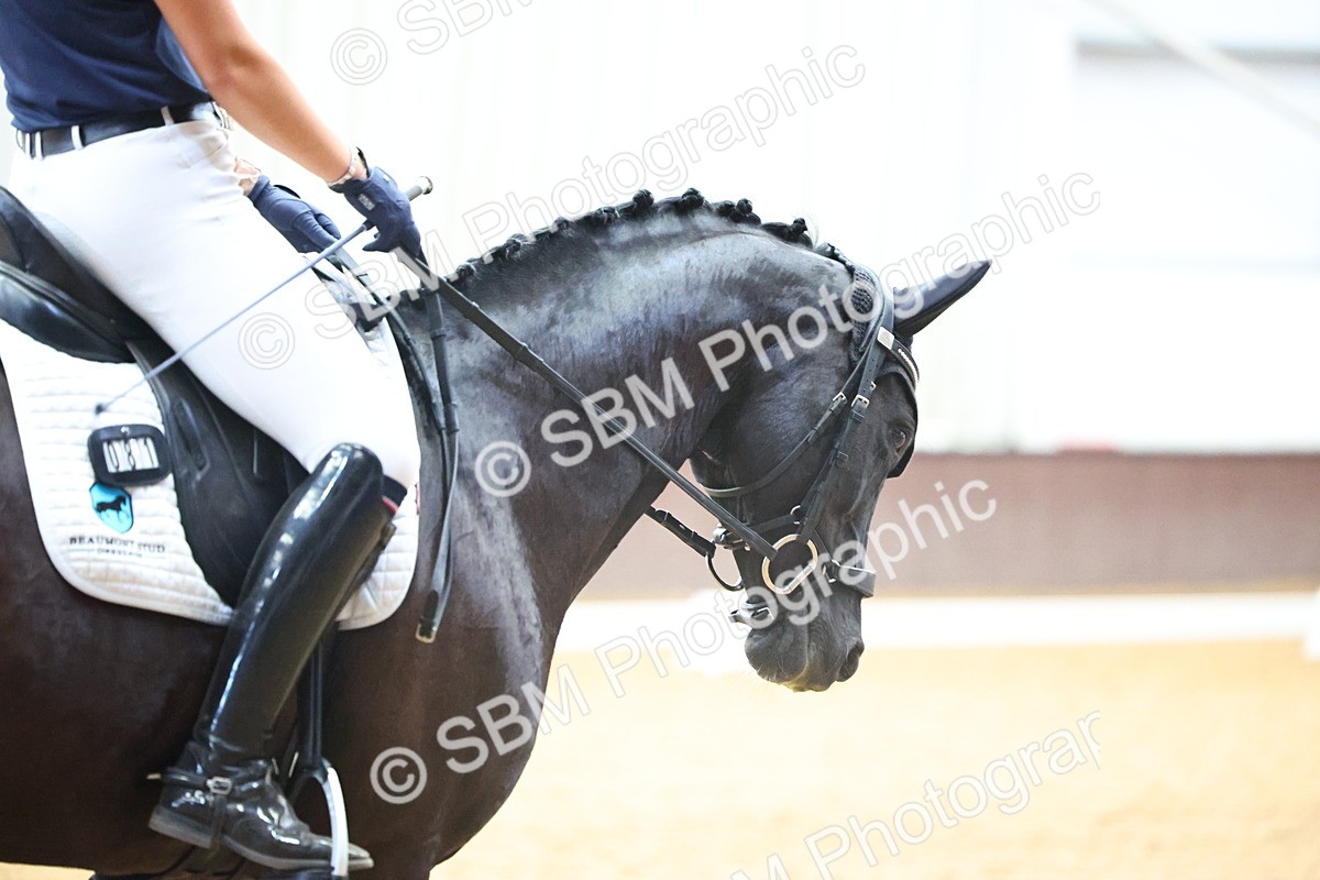 SBM_021694 - Class 15 - E5