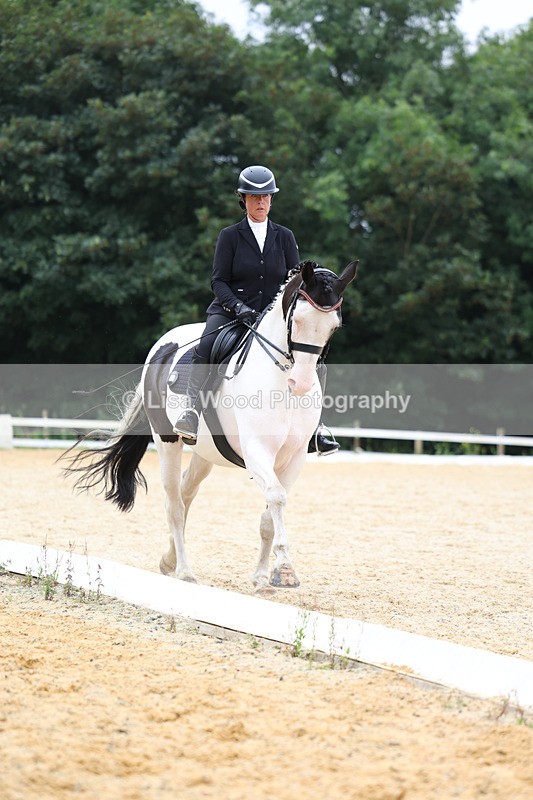 3E7A7386 - Class 9: Elementary 4 2024 - No sections