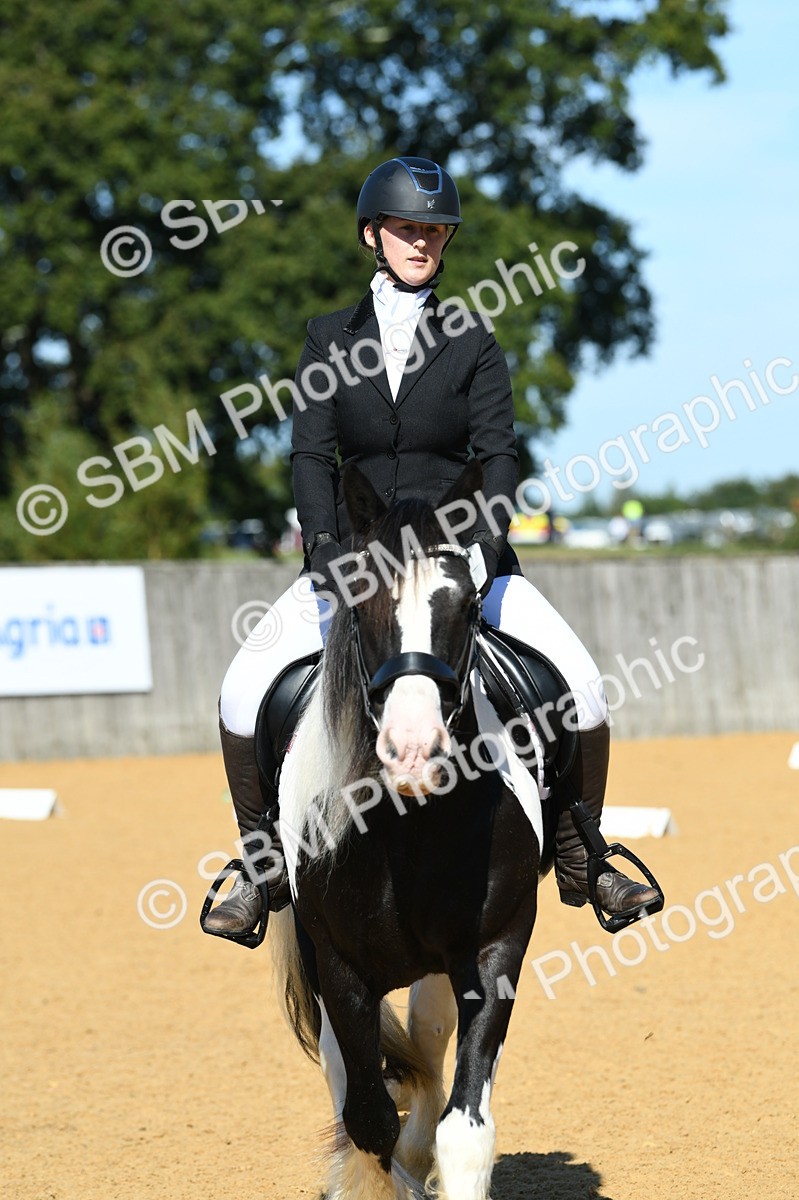 SBM_18227 - D4 - Small Tour Championship - Intro B