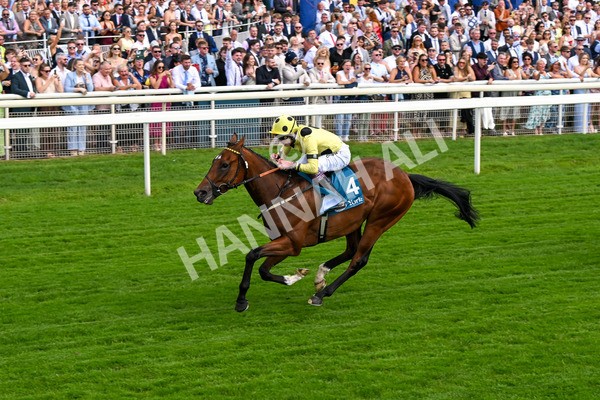 280625-Race 4-Hankelow-0527 - Race 4 3.40pm Al Basti Equiworld Dubai Novice Stakes