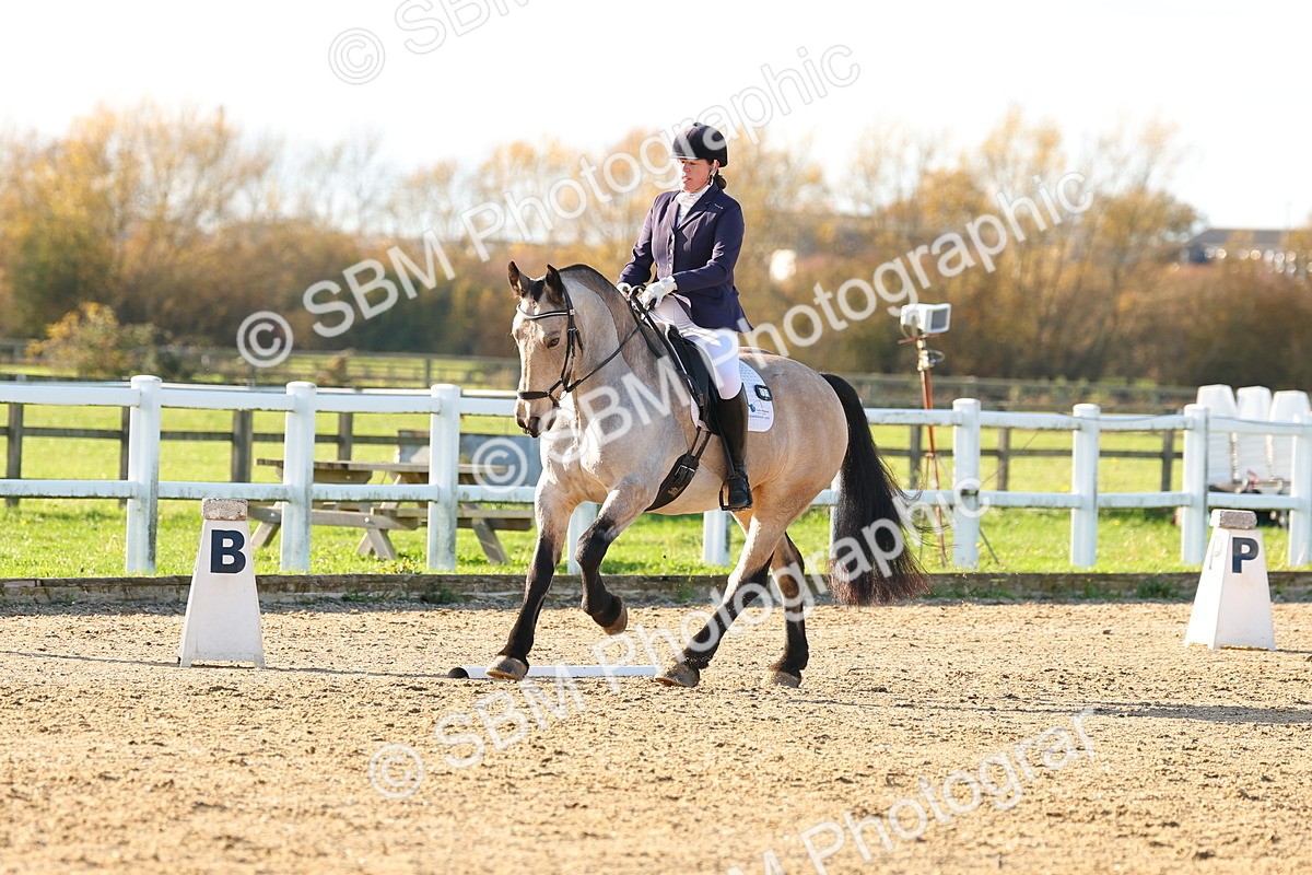 SBM_001595 - Medium 4