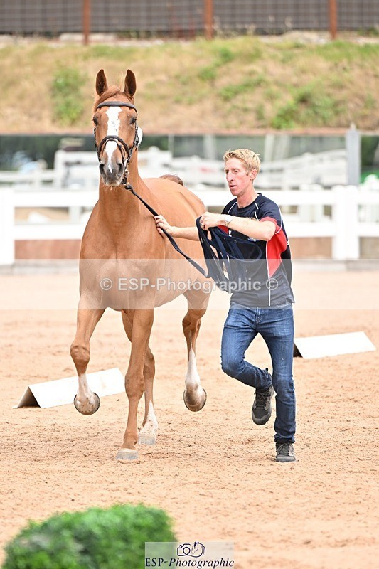 250716-144024-01288 - Trot Up 2.30 to 3.30