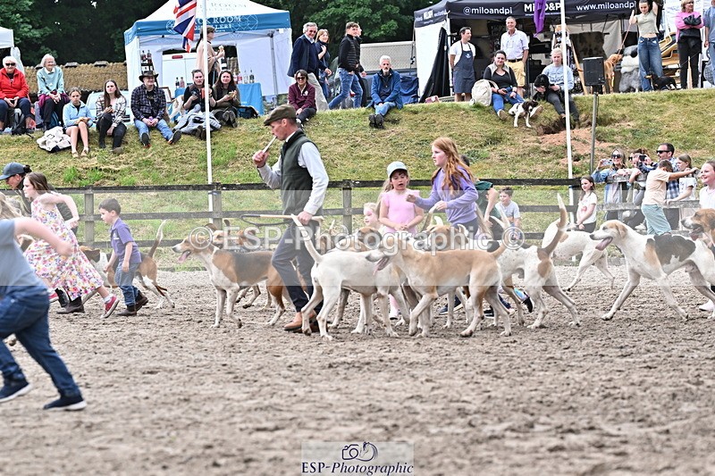 250524A-152920-12800 - East Devon Hounds