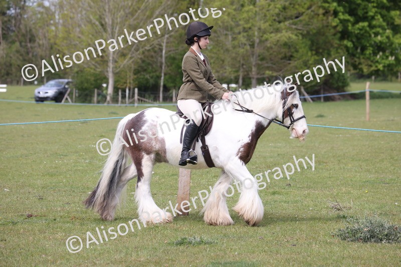 20260426-2911 - Class 33 - Best Pony 14.2hh and Under