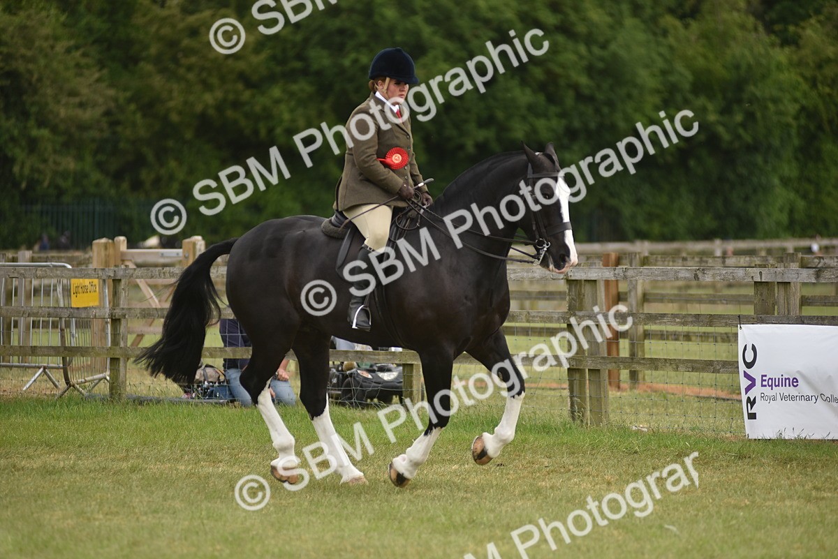SBM_18245 - Class 122-123 - LIHS BHSA Raising Star Style and Performance Series