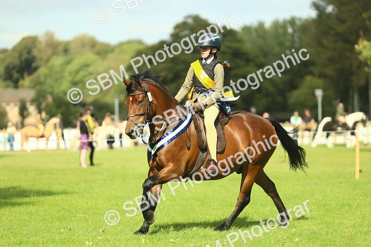 SBM_45035 - Working Hunter Pony Supreme Championship