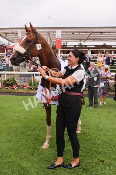 yr23072022r2-74 - Race 2 2.40pm Sky Bet Dash