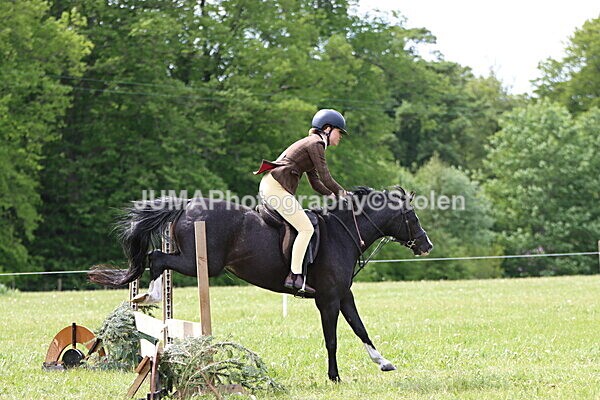 IMG_3223 - Working Hunter