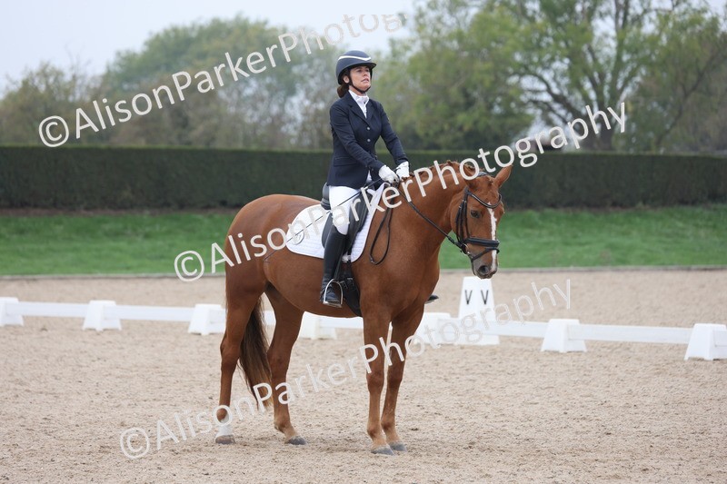 20251012-0640 - Class 5 - Elementary 5