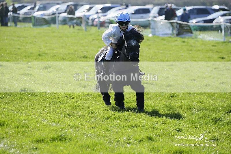 PtP 190322 42 - Wilton Hunt PtP Milborne St Andrew 19/03/22
