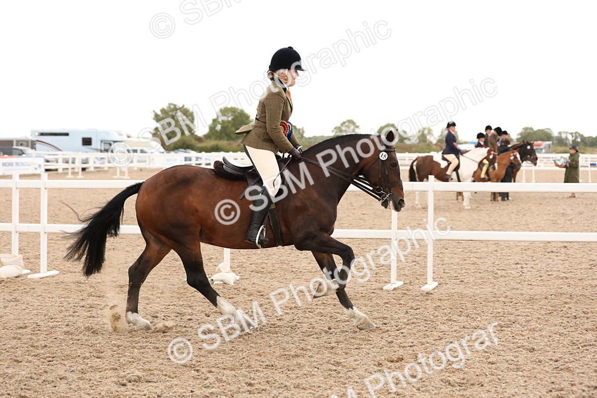 SBM_19610 - Class 215 - Ridden Show cob