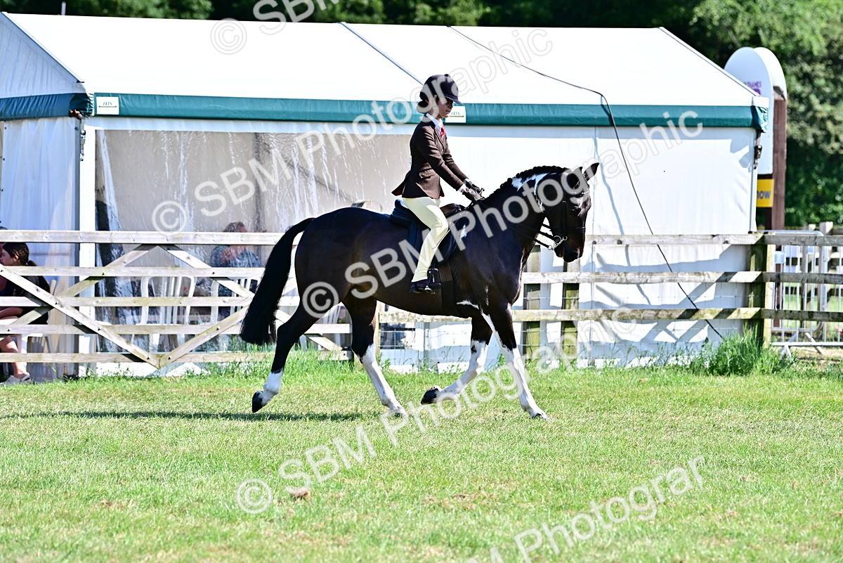 SBM_19521 - Class 101-102 - BSPS LIHS Performance Coloured Horse/Pony