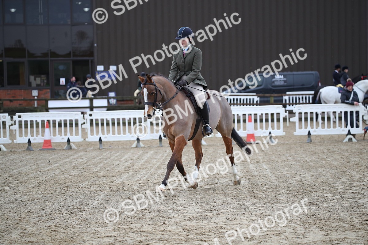 SBM_004676 - Class 5-9 - NPS In Hand-Show Hunter-Intermediate Ridden Inc Ridden Championship