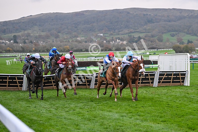 161124-Race 6-Hamsiyann-1464 - Race 6