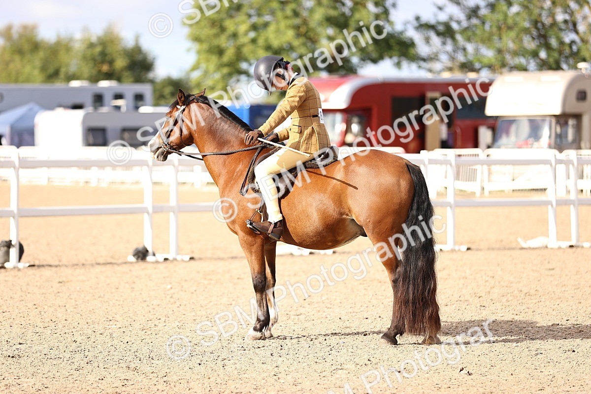 SBM_09032 - Class 403 - Grassroots Ridden - Junior