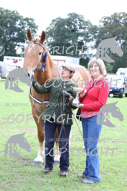 APP_3395 - Class 5 In Hand Championship