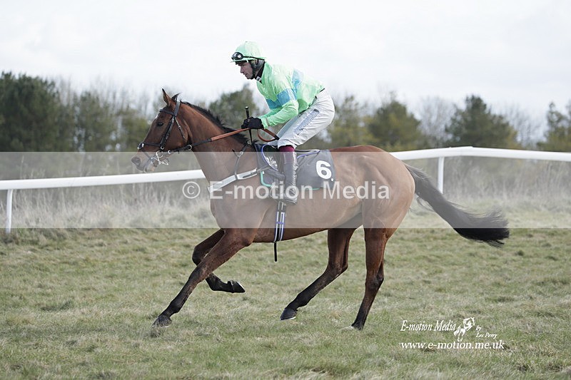 PtP 260223 566 - South & West Wilts Point-to-Point Larkhill 26/02/23