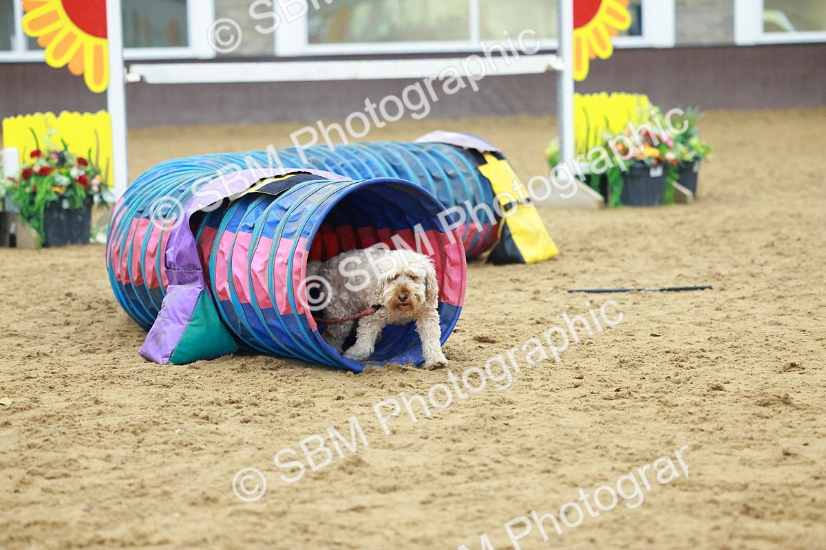 SBM_002359 - Class 3 - Horse & Hound (60cm)