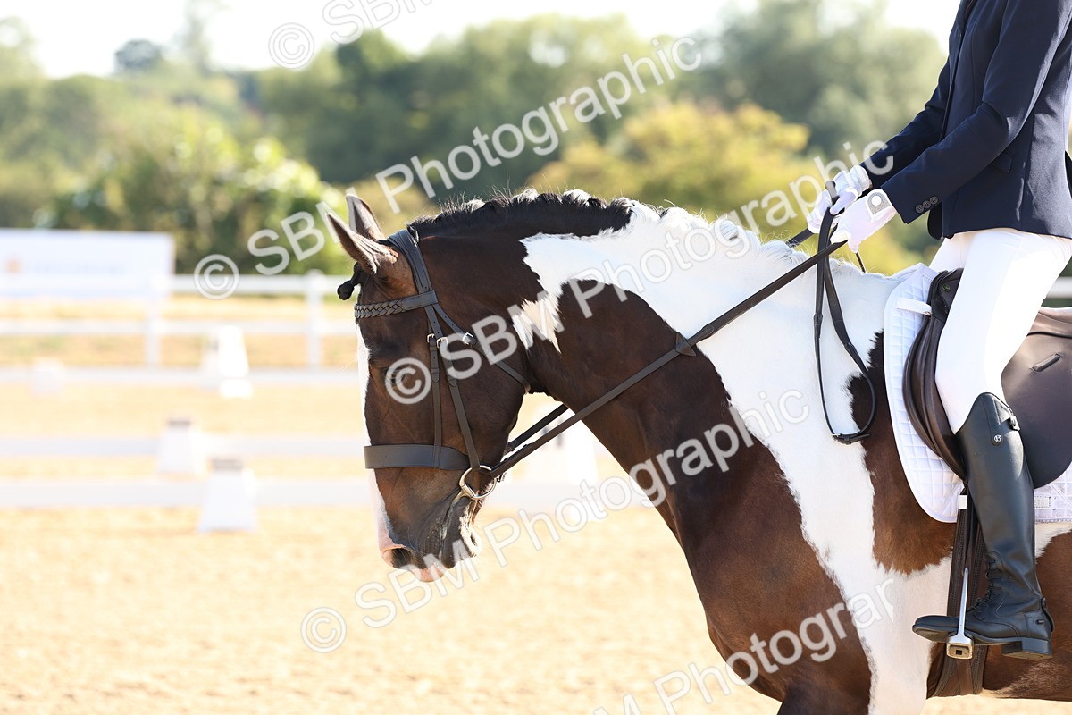 SBM_000031 - Intro 2 Warm Up