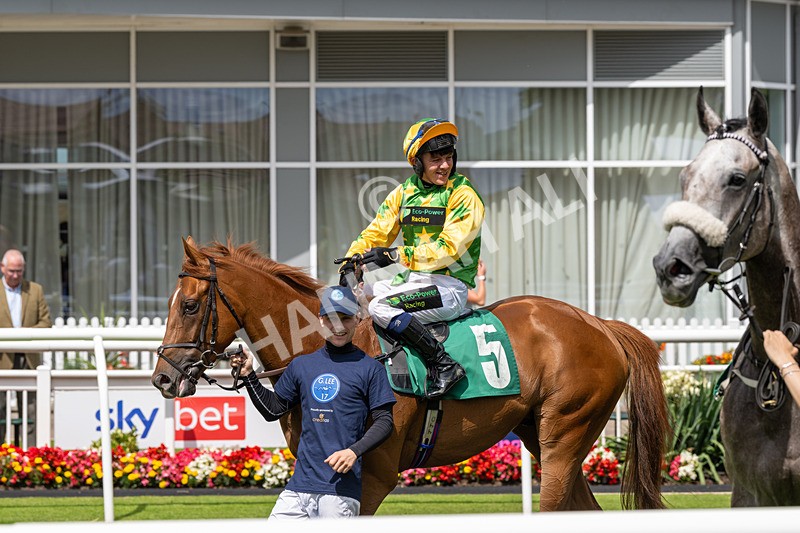 260724-Graham Lee Stable Staff Stakes-3439 - Graham Lee Stable Staff Stakes