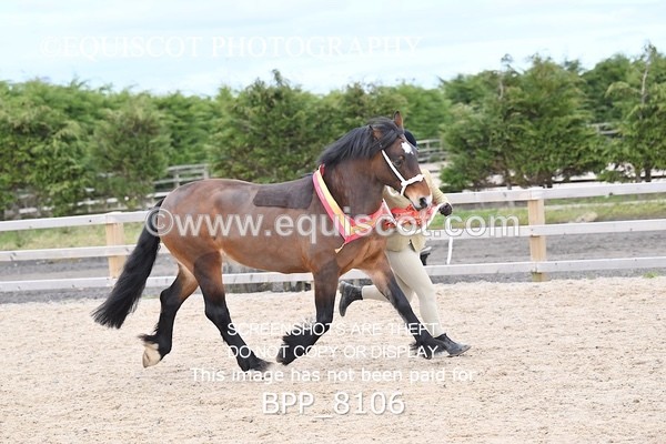 BPP_8106 - SUPREME CHAMPIONSHIP