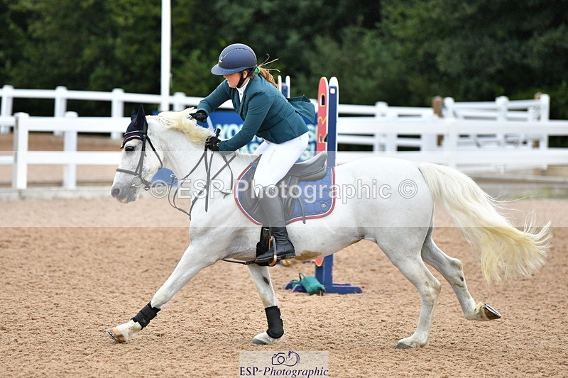 230819A-101642-00203 - Cls 21 Pony Brit Novice & 80cm Open