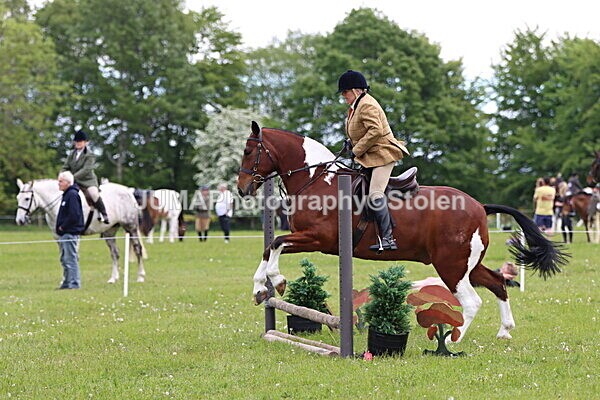 IMG_2786 - Working Hunter