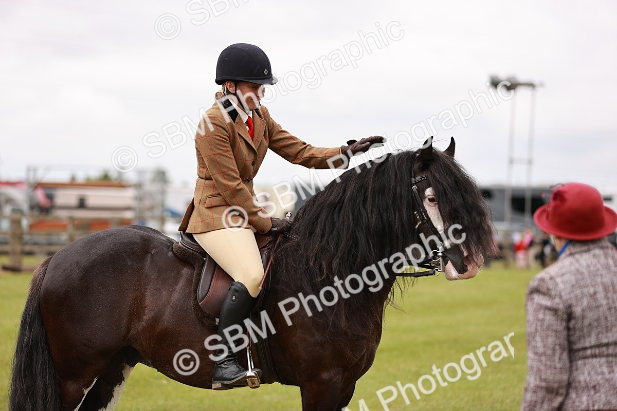 SBM_06168 - Class 39-41 TGCA In Hand and Ridden