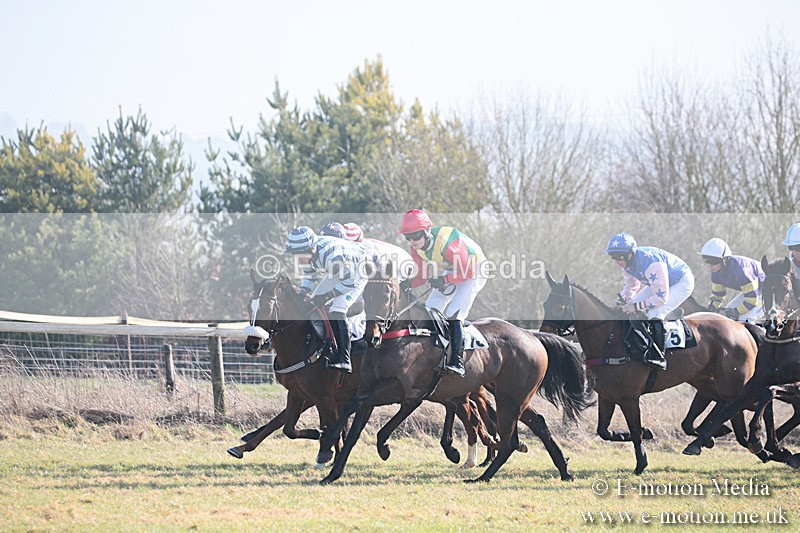 PtP 230219 49 - Vine & Craven Point-To-Point - Barbury 23/02/19