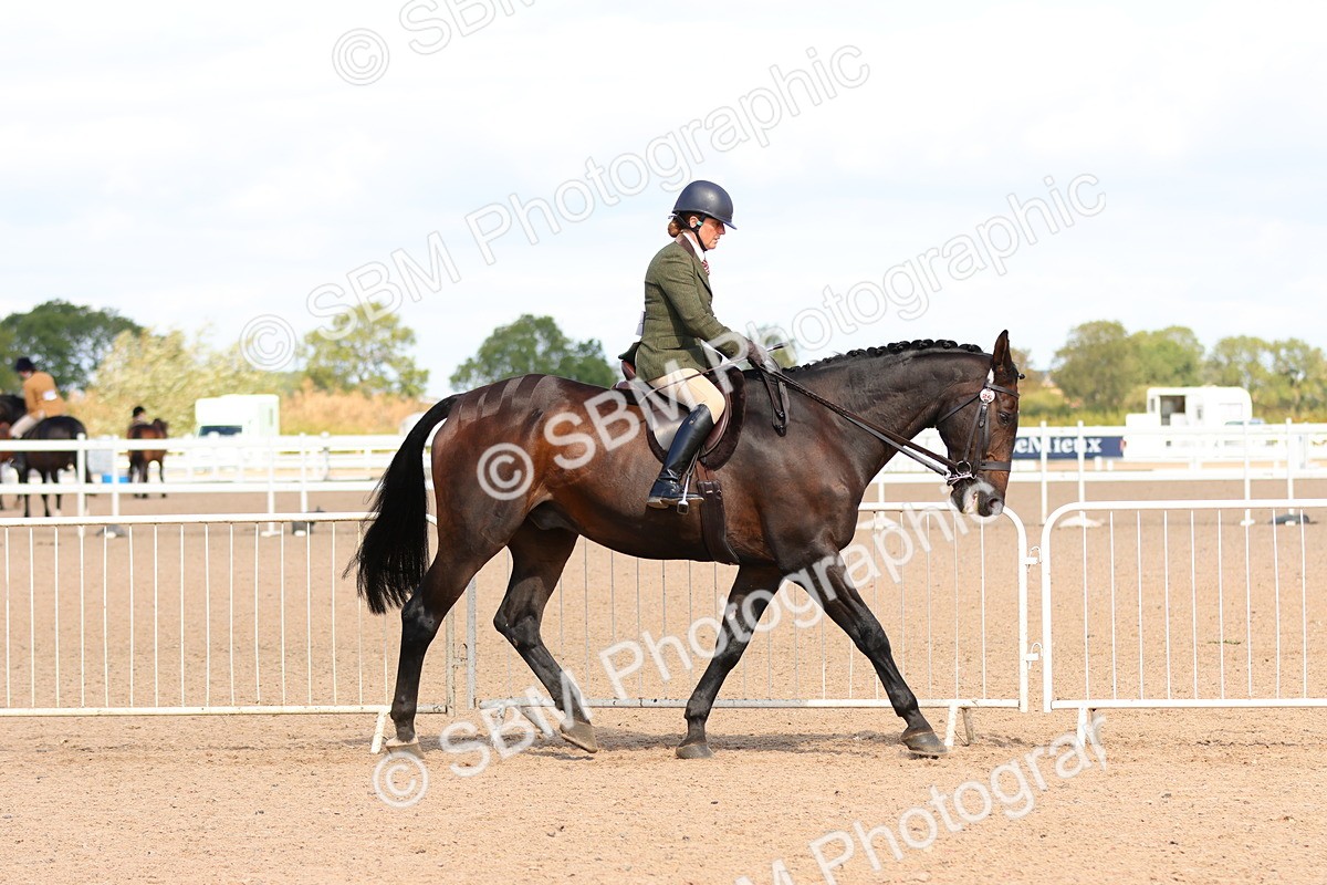 SBM_13462 - Class 212 - Ridden Hunter  - Large
