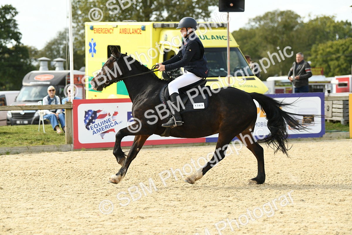 SBM_69176 - J15 - Junior Pony 70cm Championship